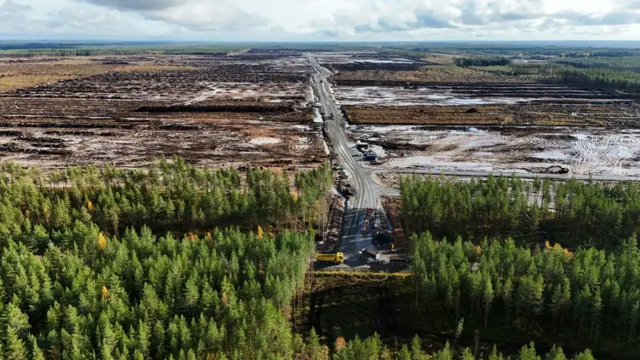 Google accusé de déforestation illégale en Finlande